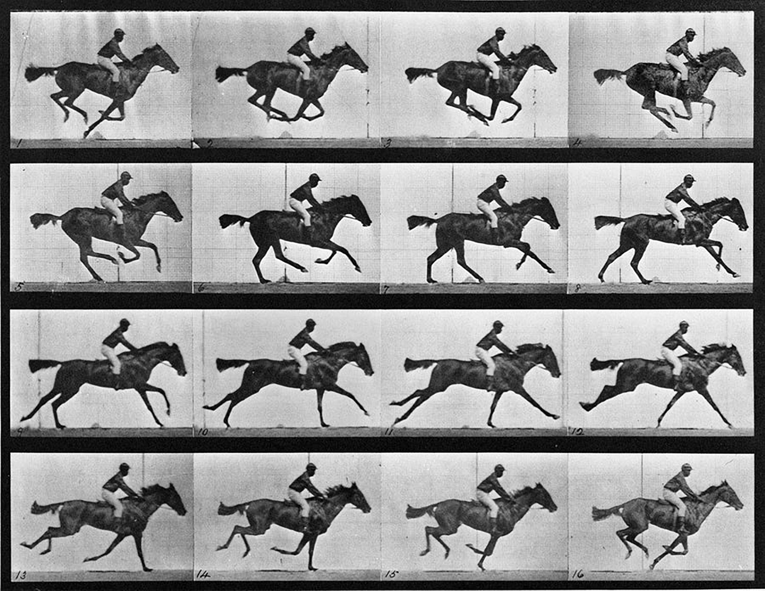 Muybridge_Animal-Locomotion-Plate-626_1000_c95375ca-2a6e-49c5-9fa9-9dca6d64fab9_900x