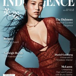 Issue 49 English Version