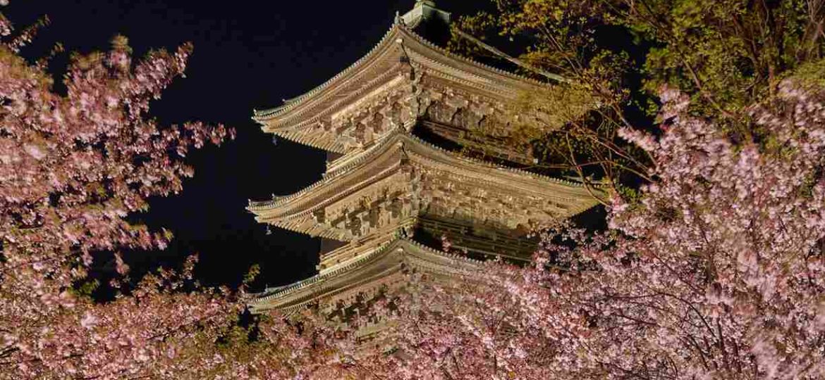 现场图